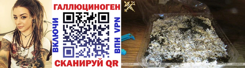 Купить где  Белая Холуница  Псилоцибиновые грибы MAGIC MUSHROOMS 