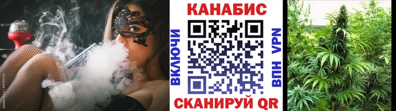 Шишки марихуана гибрид  Купить закладки  Белая Холуница 